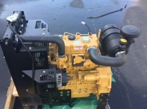Cat C1.5 or Cat 3013 engine