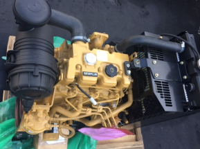 Cat 3013 engine